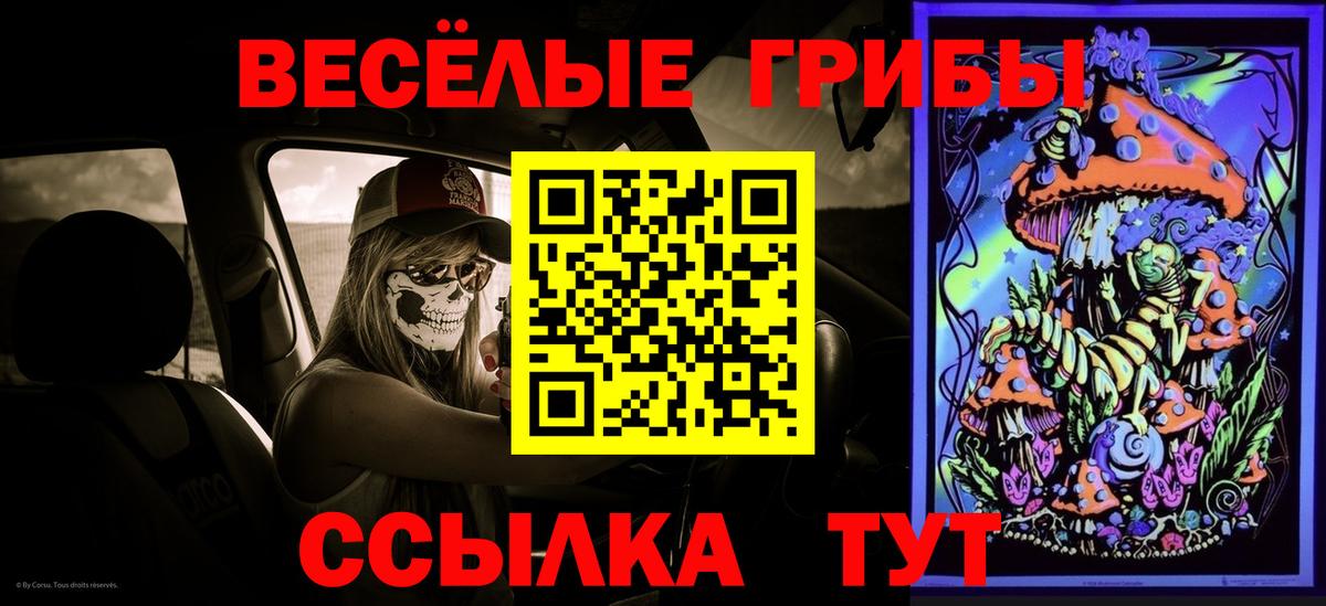Галлюциногенные грибы прущие грибы  Вход с VPN  Лабытнанги 